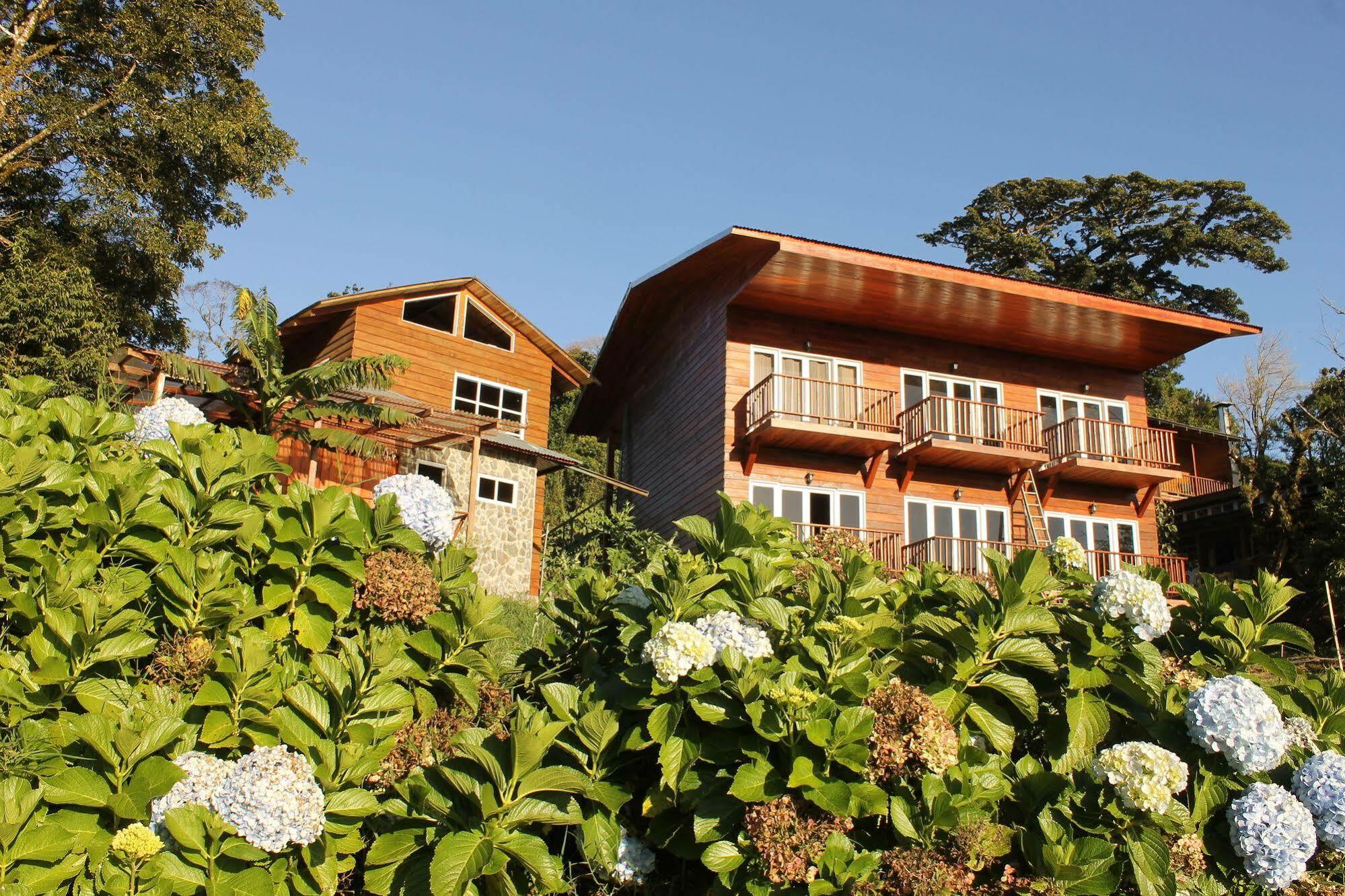 Hotel Bosque Verde Lodge Monteverde Exterior photo