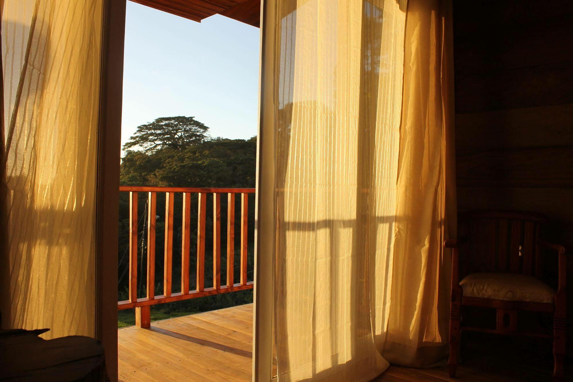 Hotel Bosque Verde Lodge Monteverde Exterior photo